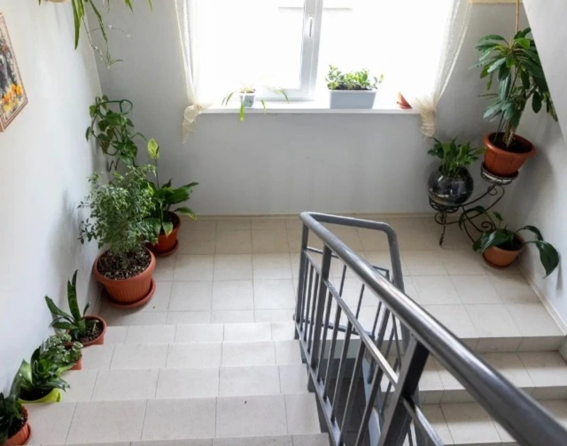 На Сахалине и Курилах определят лучшие подъезды