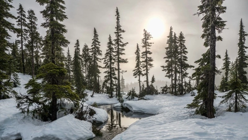 Народные приметы на 6 февраля: что строго нельзя делать 