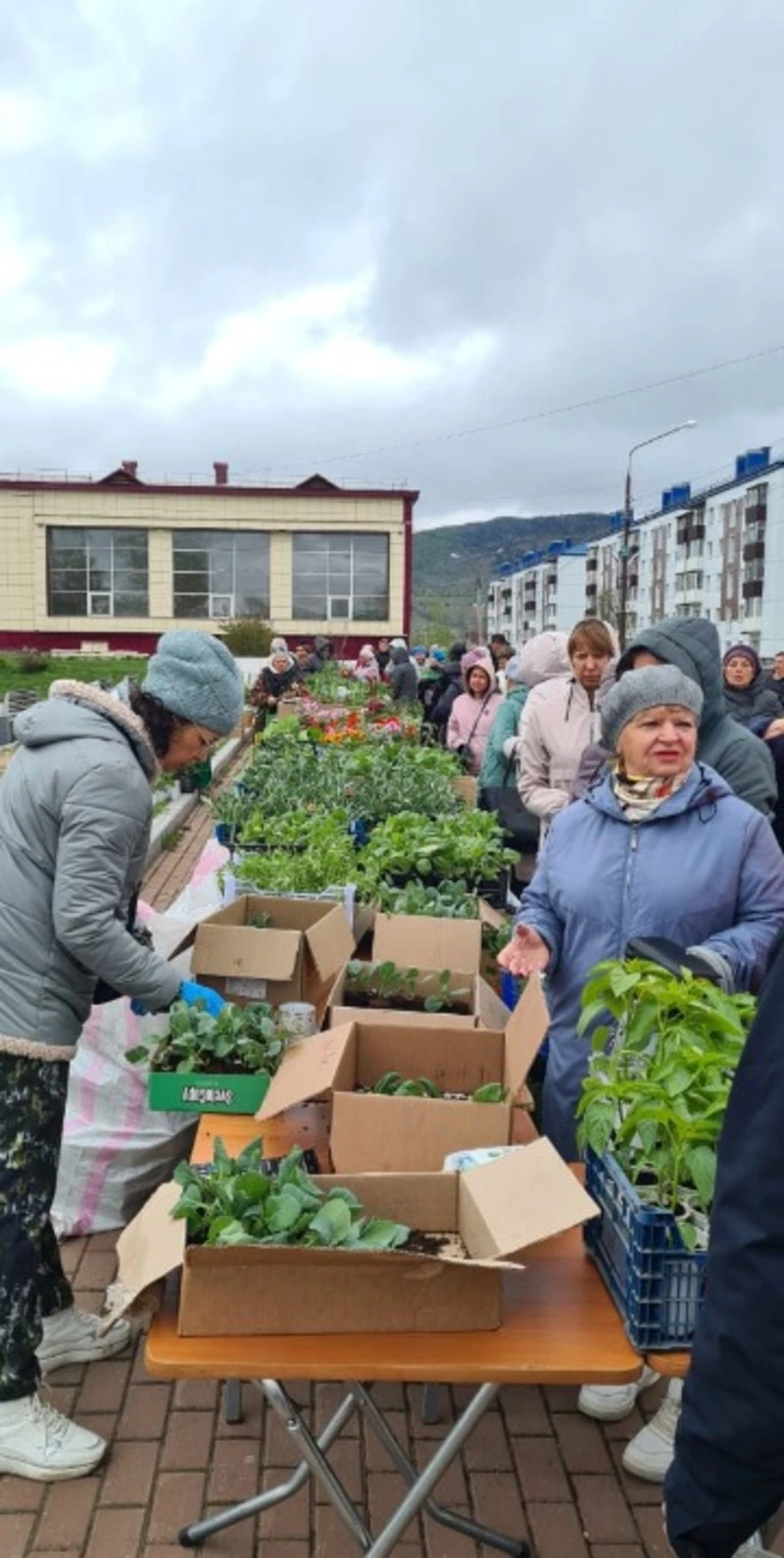 В Тымовском прошла традиционная весенняя сельскохозяйственная ярмарка.