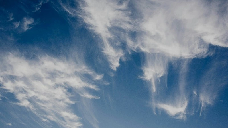 Какой будет погода на 9 мая в Сахалинской области  